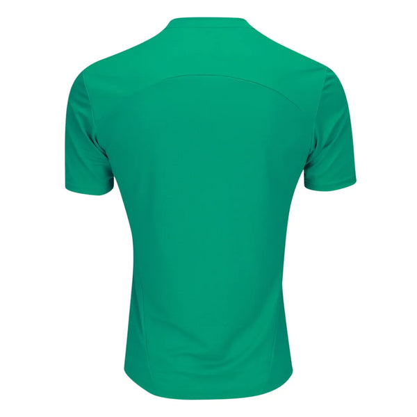 Camisa Palmeiras Treino 25/26 - Torcedor Verde