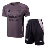 Conjunto Arsenal Treino 24/25 Roxo - Aurora