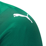 Camisa Palmeiras Home 25/26 - Jogador Verde