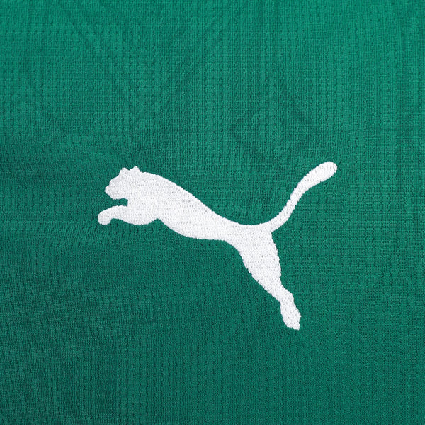 Camisa Palmeiras Home 25/26 - Torcedor Verde