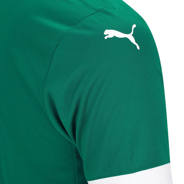Camisa Palmeiras Home 25/26 - Torcedor Verde