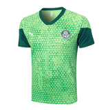 Conjunto Palmeiras Treino Regata 24/25 - Verde