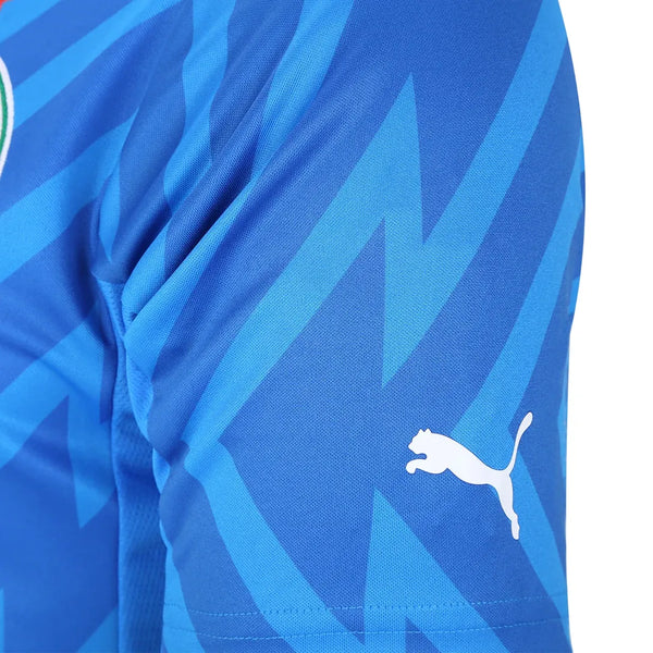 Camisa Palmeiras Goleiro I 24/25 - Torcedor Azul