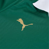 Camisa Palmeiras Home 24/25 - Torcedor Verde
